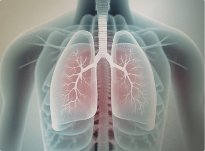 xray type image of lungs