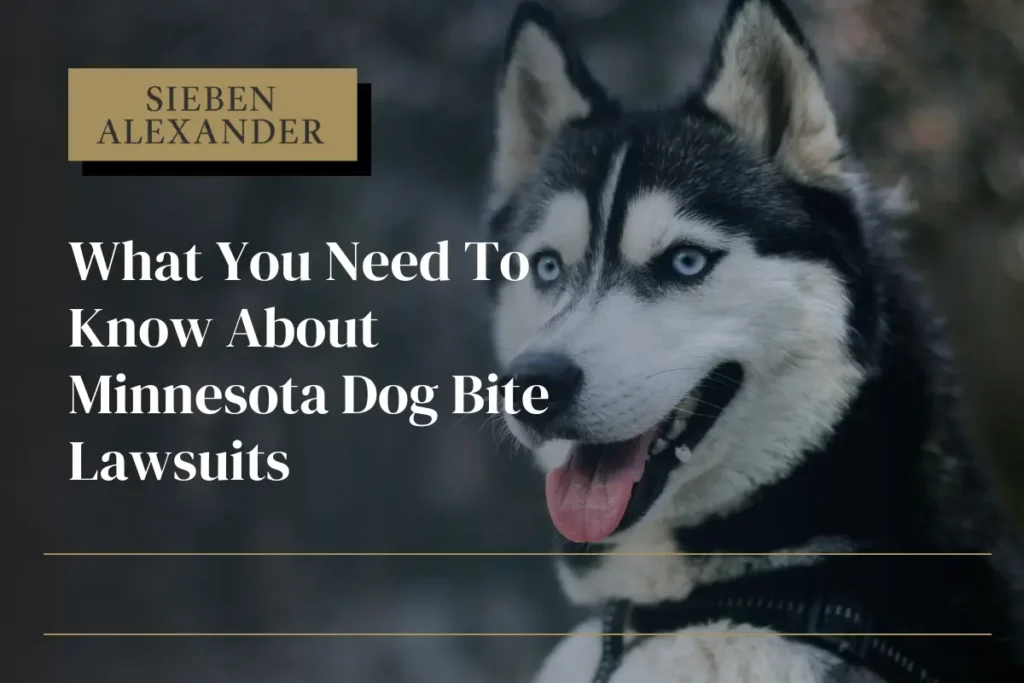 A close up of a dog, a husky with the text "What You Need to Know About Minnesota Dog Bite Lawsuits"