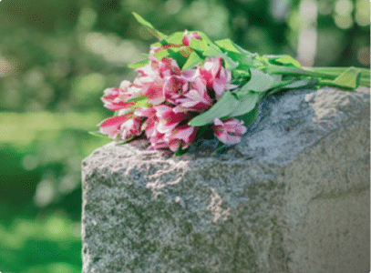 pink flowers on a tombstone